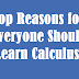 Top Reasons for Everyone Should Learn Calculus