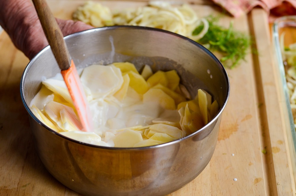 fennel scalloped potatoes-13243