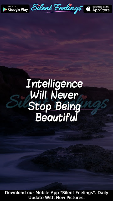 Intelligence  Will Never