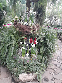 Allan Gardens Conservatory 2019 Winter Flower Show seven by garden muses--not another Toronto gardening blog