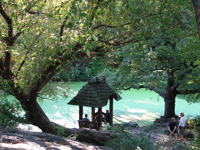 Shelter, The Lake, Central Park, New York