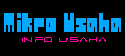 mikro-usaha