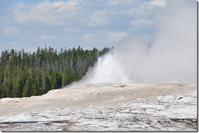 Yellowstone 2009 101