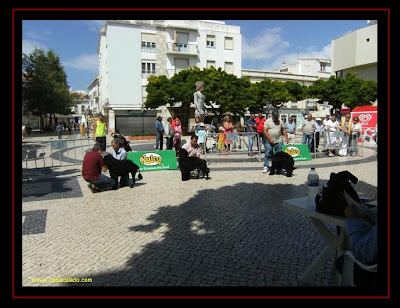 Cão de Água Português na Exposição Canina