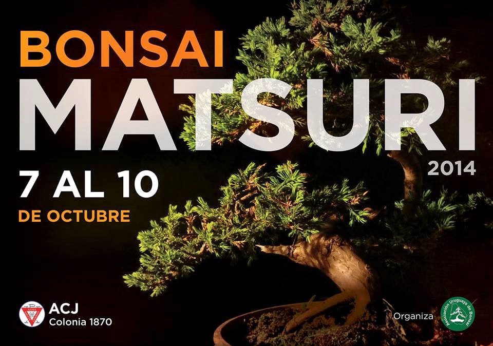 http://aubonsai.blogspot.com/2014/10/bonsai-matsuri-2014.html