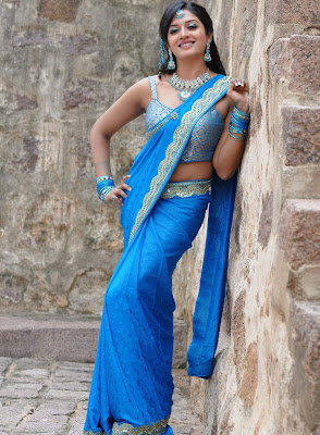 actress vimala raman in saree photos+123actressphotosgallery.com