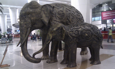 機場的大象