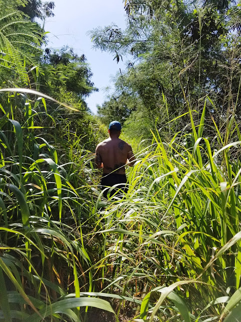 Maui Hiking Lahaina Hawaii