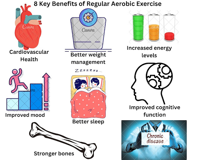 Benefits of Regular Aerobic Exercise for Individuals: What to Expect?