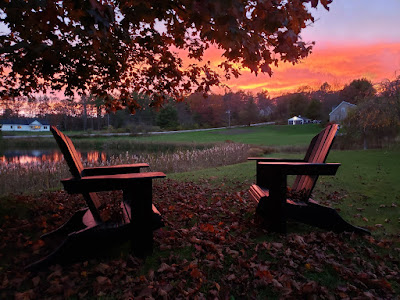 Two black dech chairs at sunset beneath a tree with autumn leaves on the ground