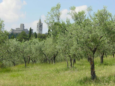 Assisi seen from San Damiano