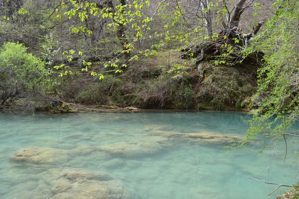 puente la reina y ruta nacedero del urederra navarra