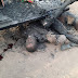 Man, wife killed in Borno suicide blast
