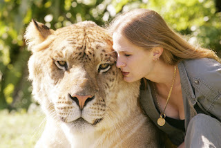 World's Biggest wild Cat ever