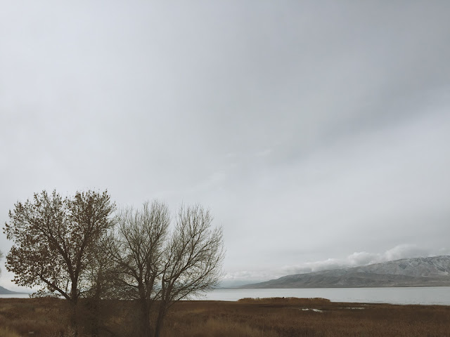 Late fall and early winter at Utah Lake / THE JOY BLOG