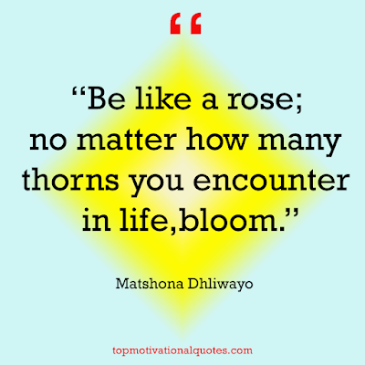 Motivational Quotes about life challenges - be like a rose no matter
