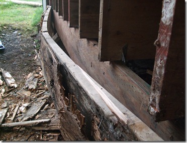 Shed Renovation 032