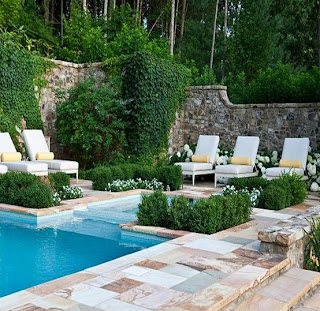 Pool Area Landscaping