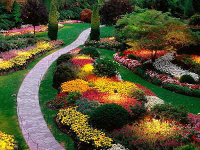 most beautiful Garden Stills