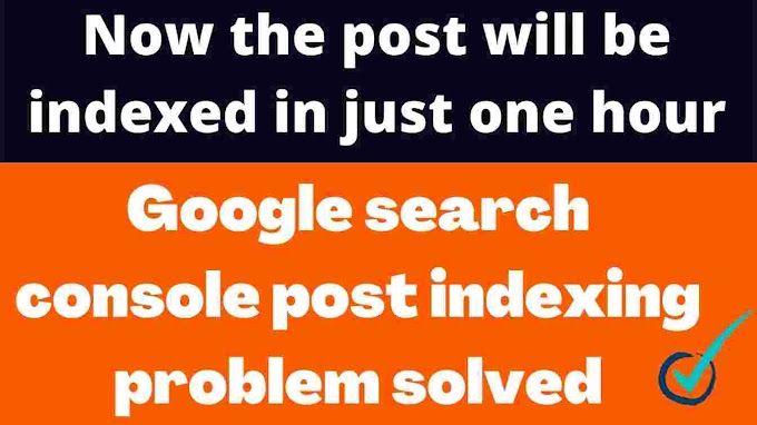 post indexing issue in the google search console is solved