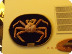 DSCN2459