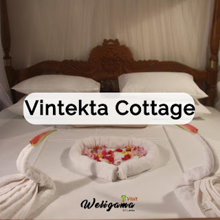 Vintekta Cottage | Rent Houses and Apartments in Weligama Sri Lanka