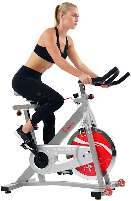 Sunny Health and Fitness Stationary bike