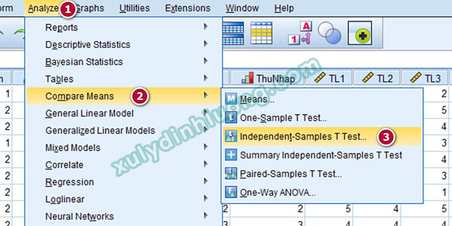 Independent Sample T-Test trong SPSS