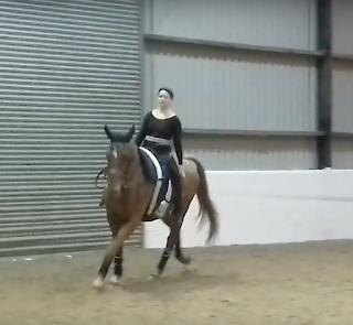 A vaulter sitting on a cantering chestnut horse with vaulting tack. The vaulter's arms are by her sides.