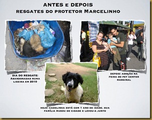 marcelo_vieira (29)