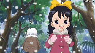 ワンピースアニメ ドレスローザ編 702話 ベビー 幼少期 | ONE PIECE Episode 702