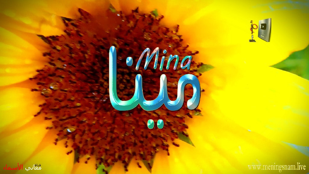 معنى اسم, مينا, وصفات, حاملة, وحامل, هذا الاسم, Mina,