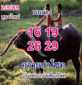 ควายนำโชค สูตรใหม่ งวด 2 พฤษภาคม 2565 OHO999.com