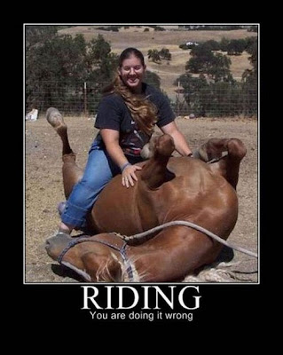 You Are Doing It Wrong funny pictures and Posters