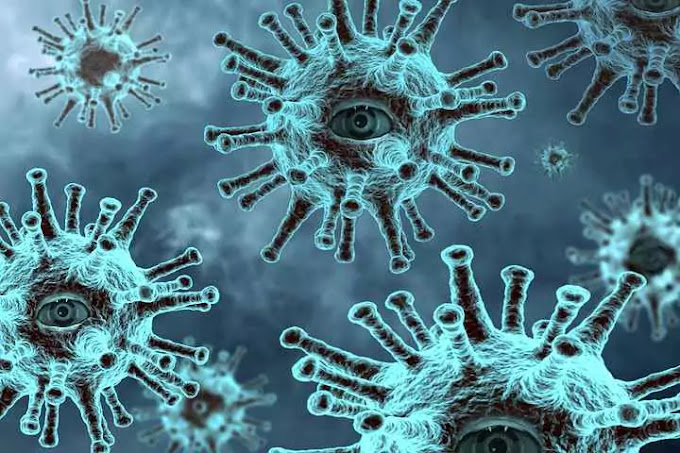 Cancer: Types, Causes, Symptoms, Treatment, Facts and so on