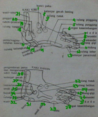 Peta Zona Refleksi Kaki ~ Pijat Terapi Zona
