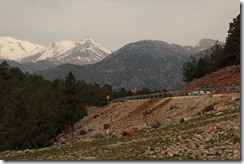 IMG_5381