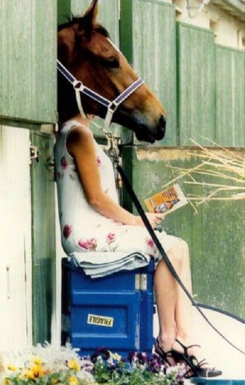horse woman book funny photo