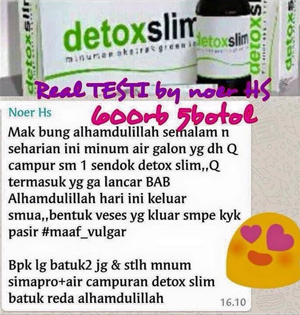 Detox Slim MSI 7 Tips Diet Sehat 087808575193 Detox 