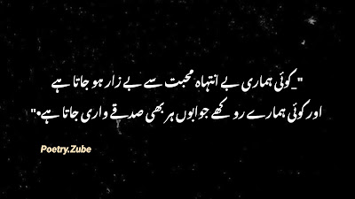Best Poetry in Urdu, Best Shayari in Urdu