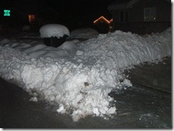 Snow storm 2010 197