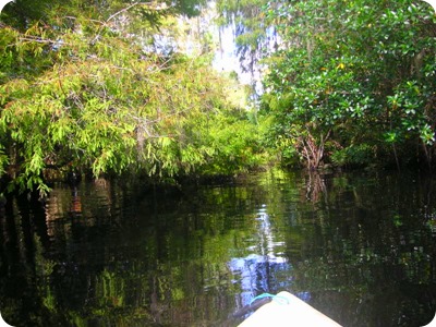 Loxahatchee River kayak tour