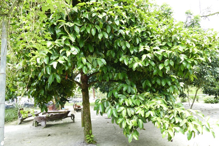 P1020603