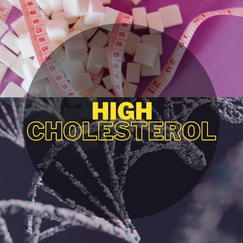 Manage High Cholesterol: स्वस्थ जीवन की ओर एक कदम