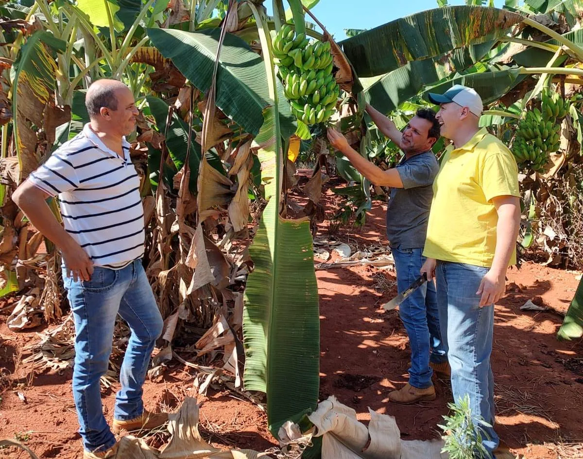 Além da inspeção realizada em plantios comerciais a Agrodefesa também realiza trabalho de orientação junto aos produtores rurais (Foto: Agrodefesa)