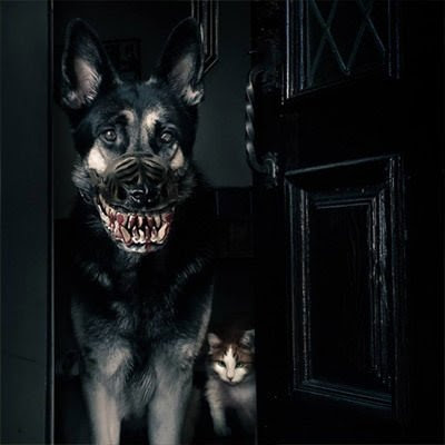 Werewolf Muzzle For Dogs, Turns Man's Best Friend Into The Scariest Supernatural Beast