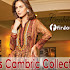 Firdous Cambric Collection 2013-2014 | New Collection of FirdousCambric Dresses