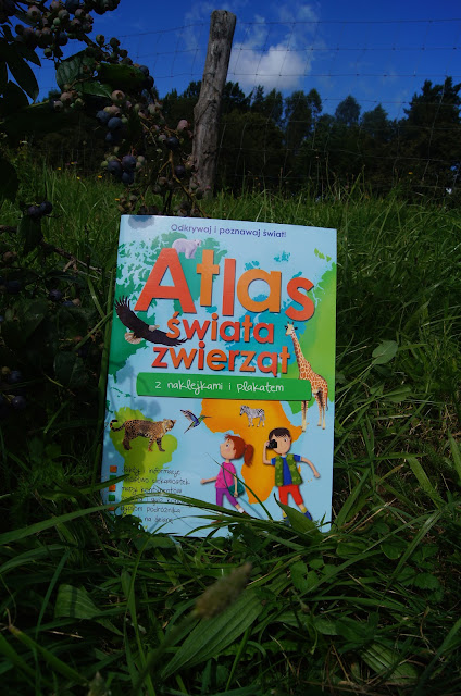 Atlas świata zwierząt - z naklejkami i plakatem.