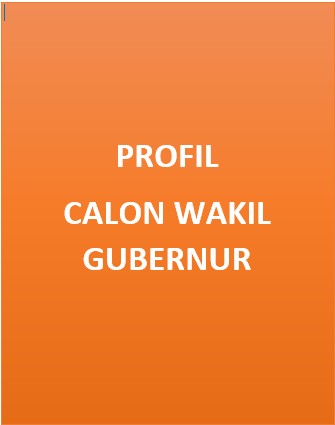 Profil Calon Wakil Gubernur