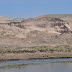 What Happened to Pearlshell Mussels in the Hanford Reach?